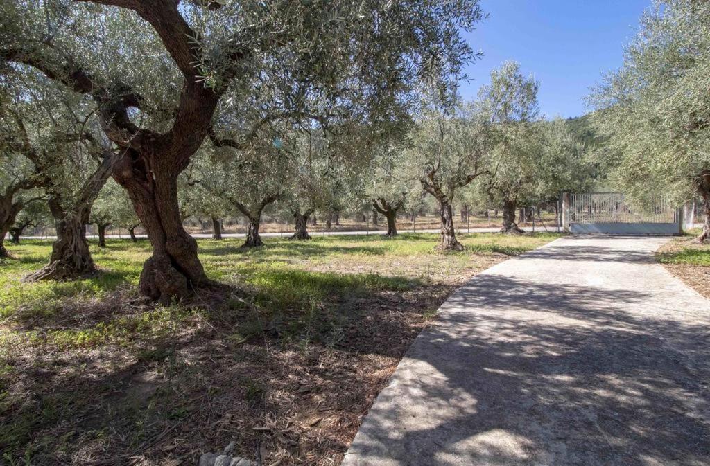 Manousi 2 - First Floor Villa Mystras Luaran gambar