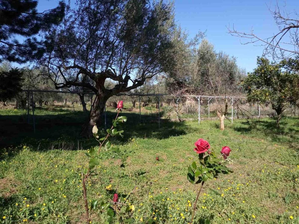 Manousi 2 - First Floor Villa Mystras Luaran gambar